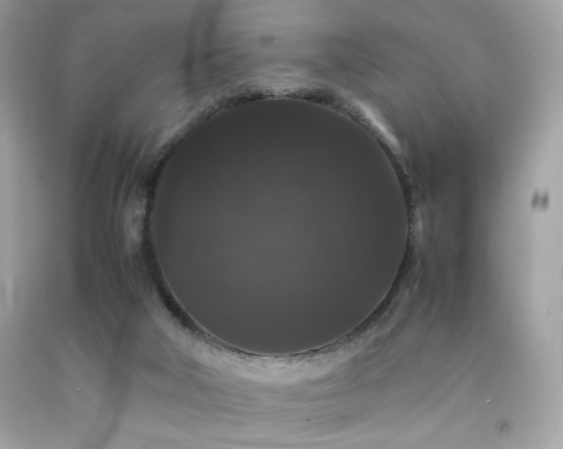 X0000092060018200709121403