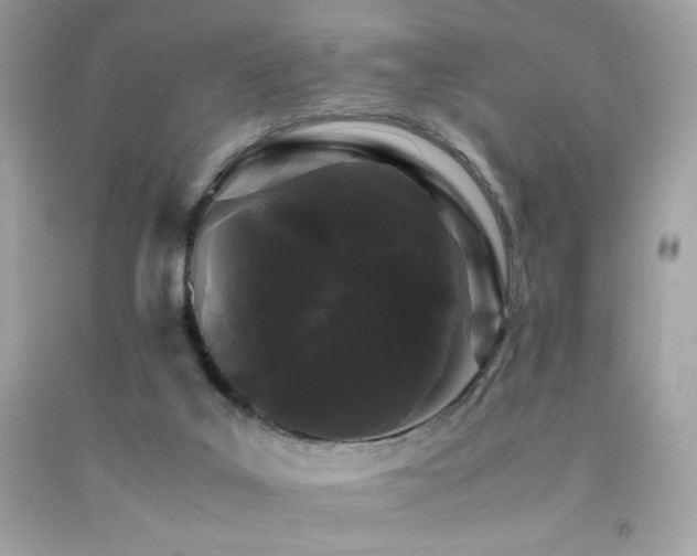 X0000092060019200709121403