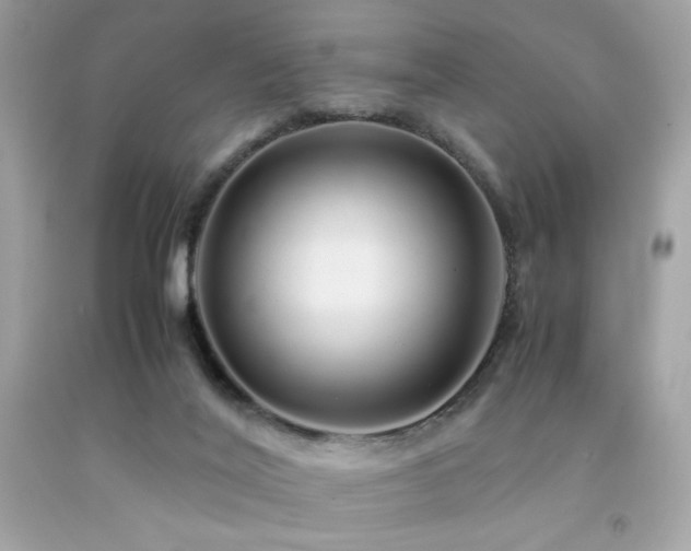 X0000092060020200709121403