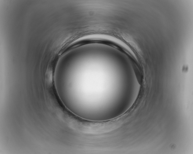 X0000092060021200709121403