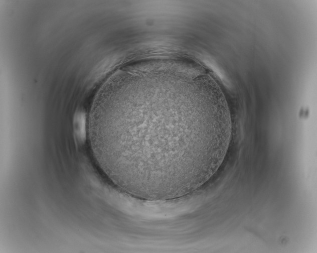 X0000092060022200709121403