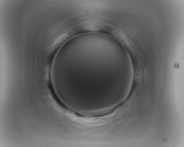 X0000092060023200709121403