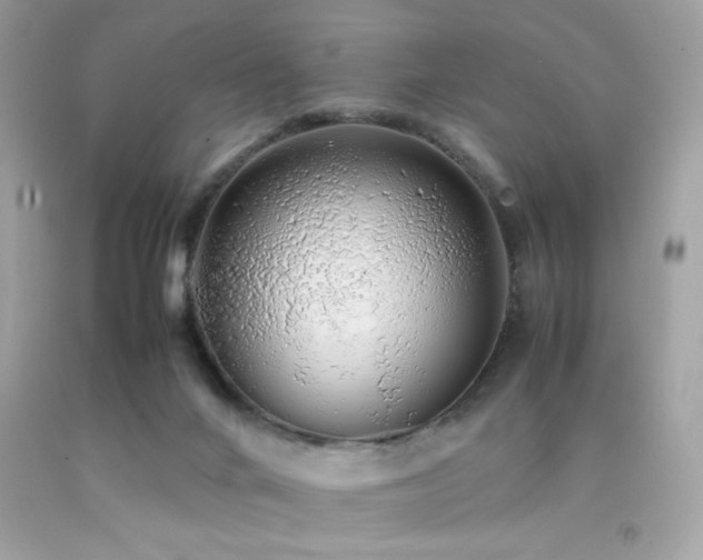 X0000092060024200709121403