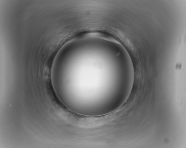 X0000092060025200709121403