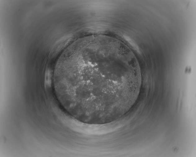 X0000092060026200709121403