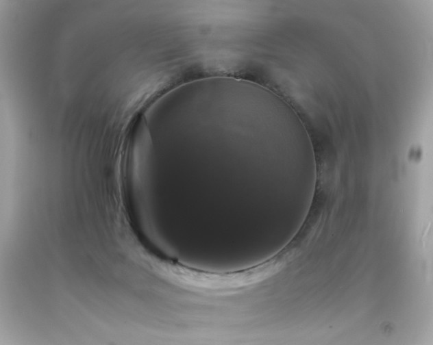 X0000092060027200709121403