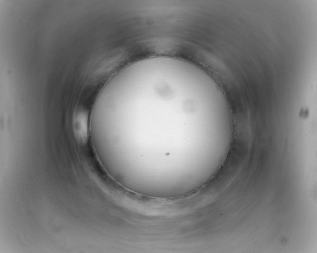 X0000092060028200709121403