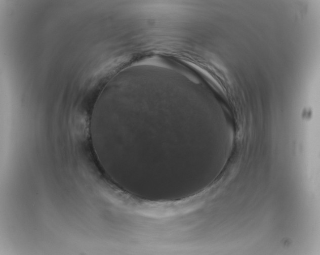 X0000092060029200709121403