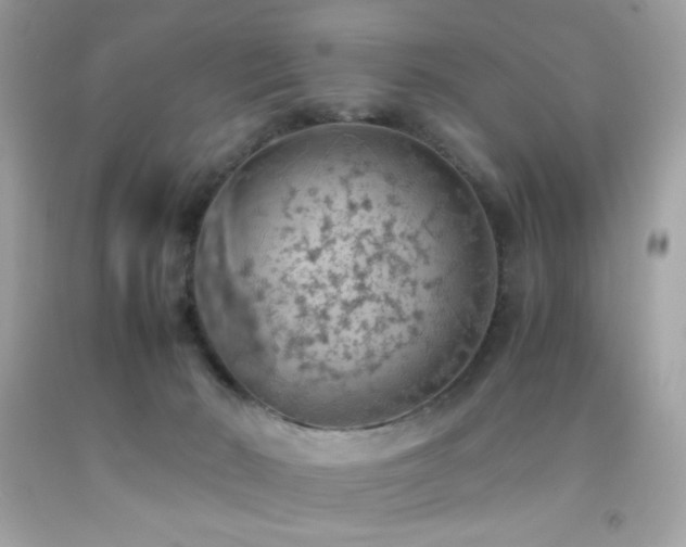 X0000092060030200709121403