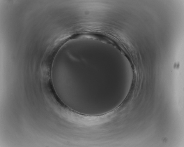 X0000092060031200709121403