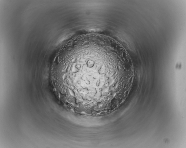 X0000092060032200709121403