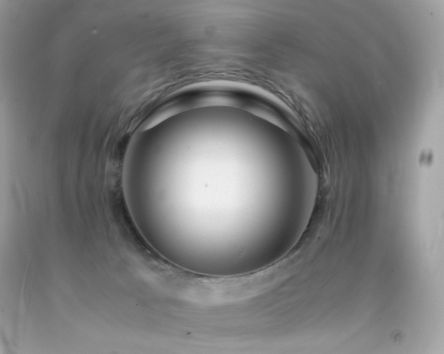 X0000092060033200709121403