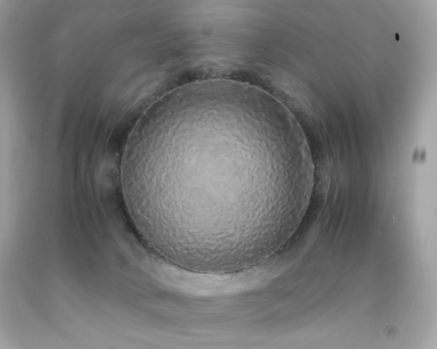 X0000092060034200709121403