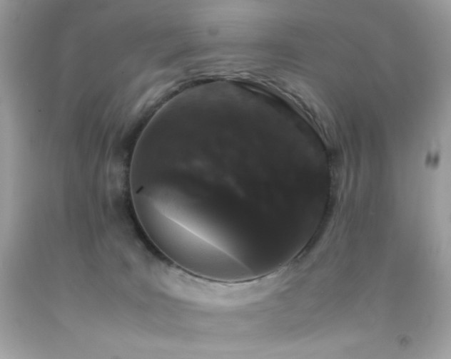 X0000092060035200709121403