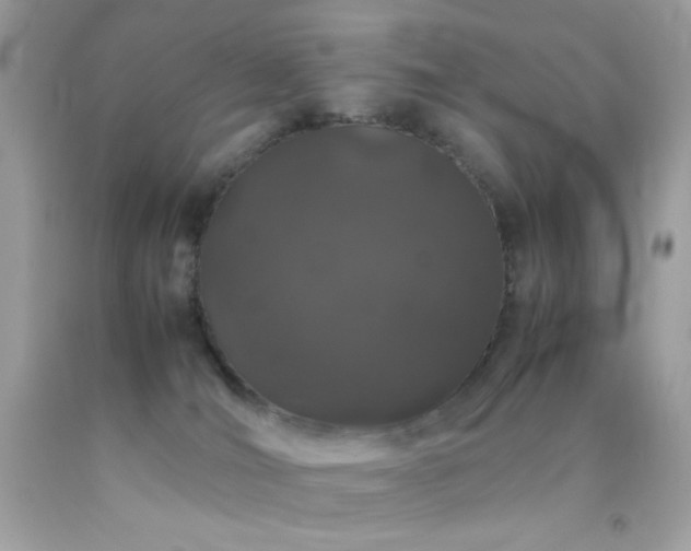 X0000092060036200709121403