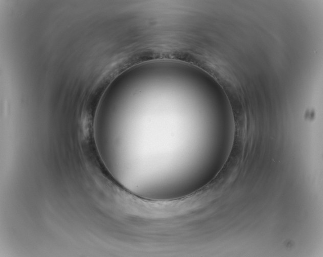 X0000092060038200709121403