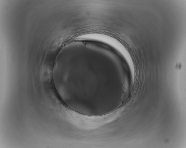 X0000092060039200709121403