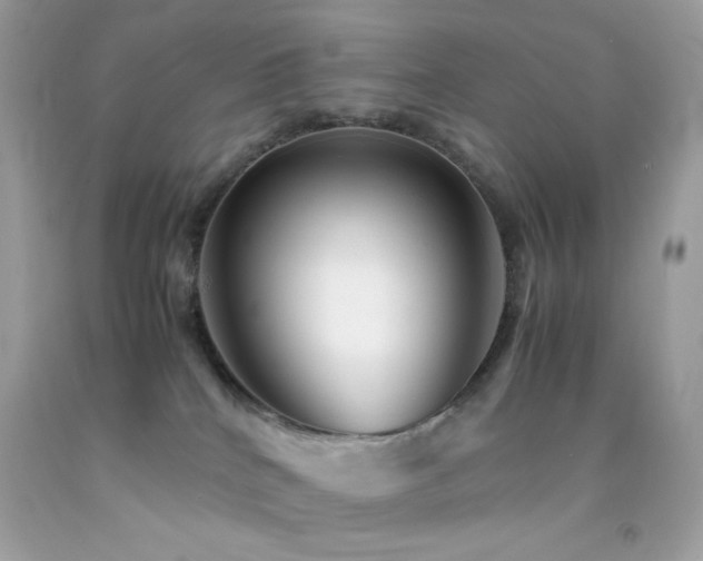 X0000092060040200709121403