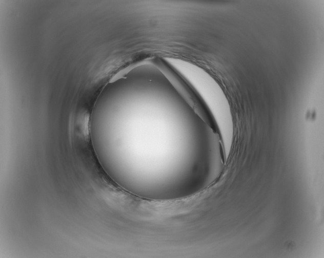 X0000092060041200709121403