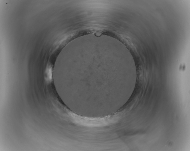 X0000092060042200709121403