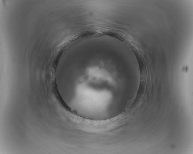 X0000092060043200709121403