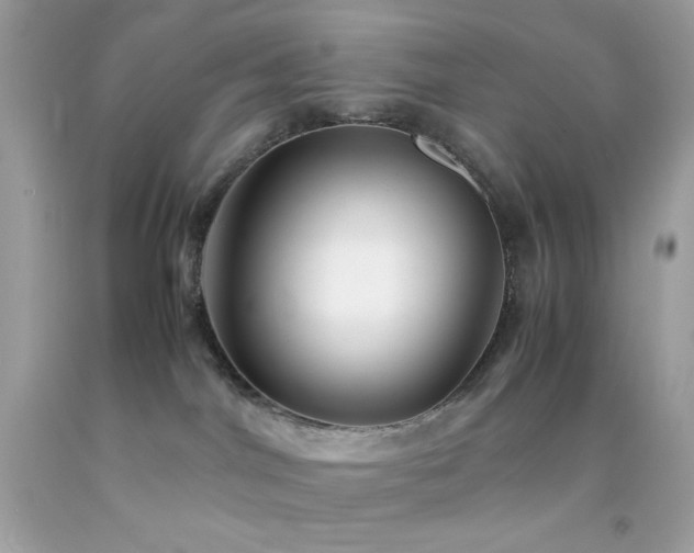 X0000092060044200709121403