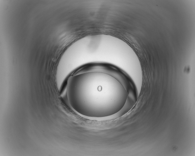 X0000092060045200709121403