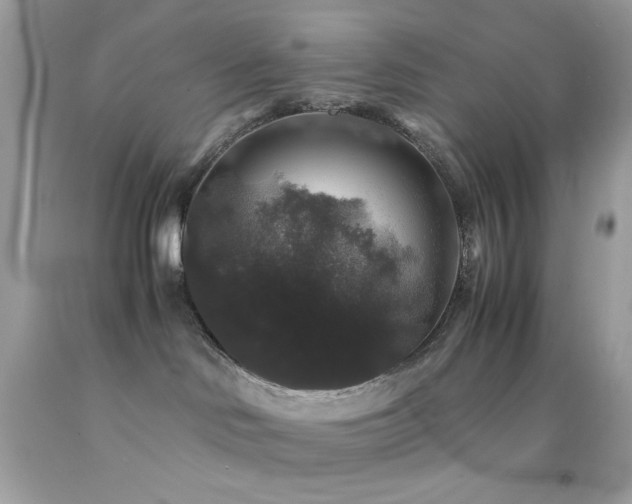 X0000092060046200709121403