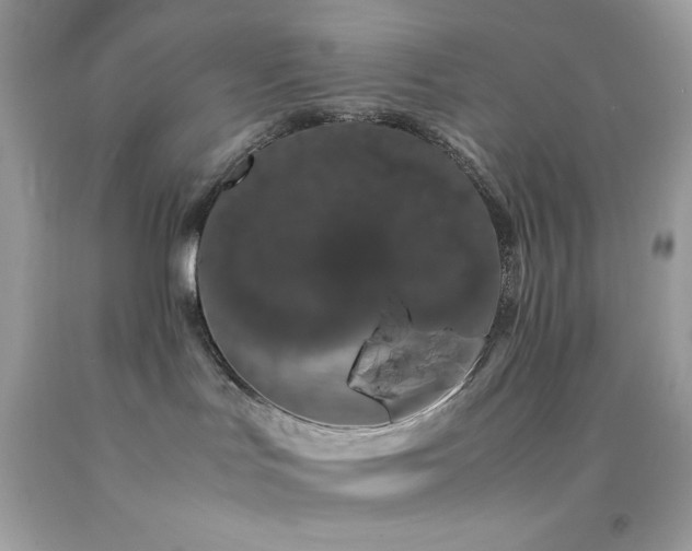 X0000092060047200709121403