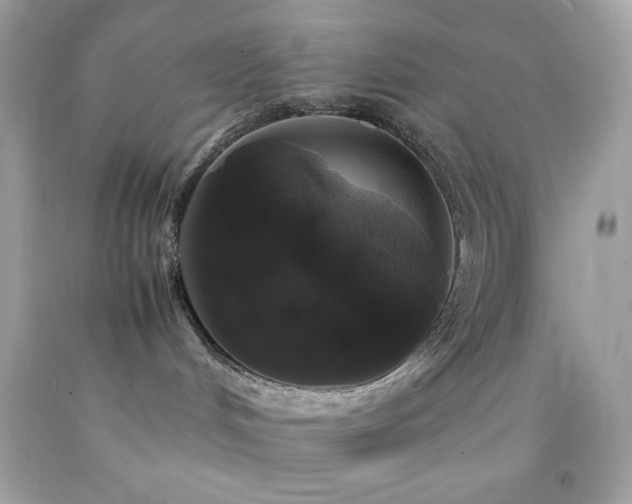 X0000092060048200709121403