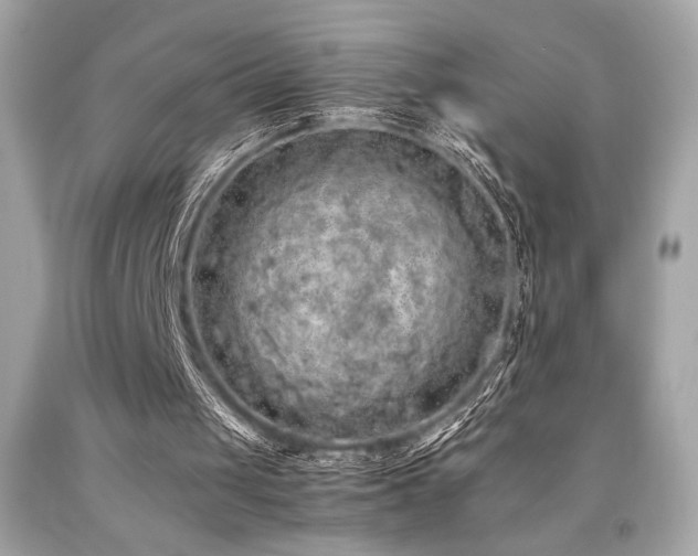 X0000092060049200709121402