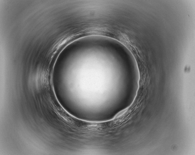 X0000092060050200709121402