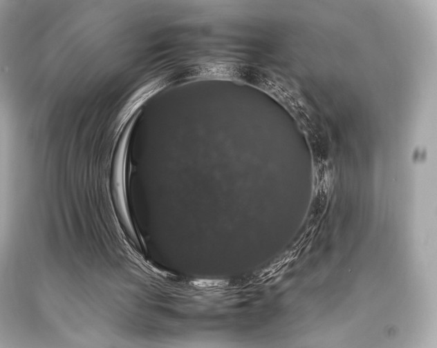 X0000092060051200709121402