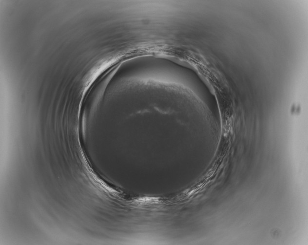 X0000092060052200709121402