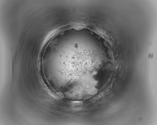 X0000092060053200709121402