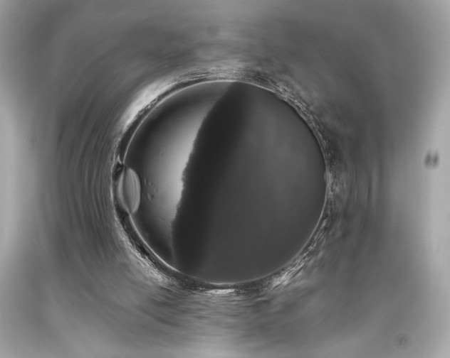 X0000092060054200709121402