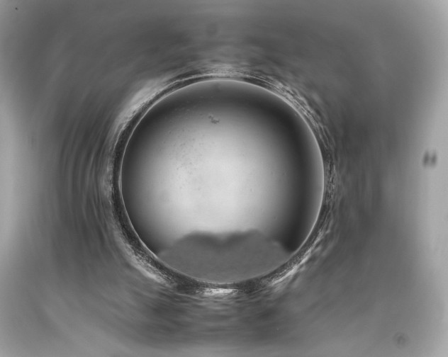 X0000092060055200709121402