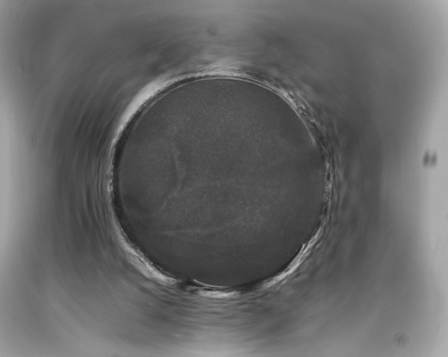 X0000092060056200709121402