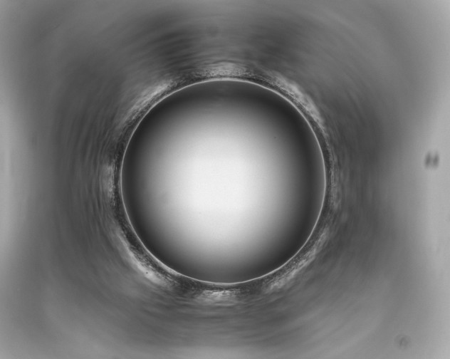 X0000092060057200709121402