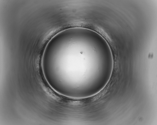 X0000092060058200709121402