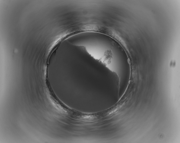 X0000092060059200709121402