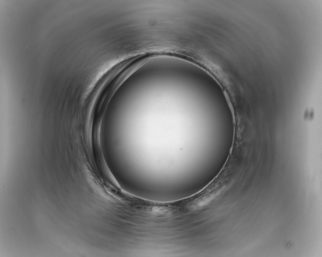 X0000092060060200709121402