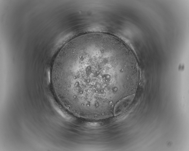 X0000092060061200709121402