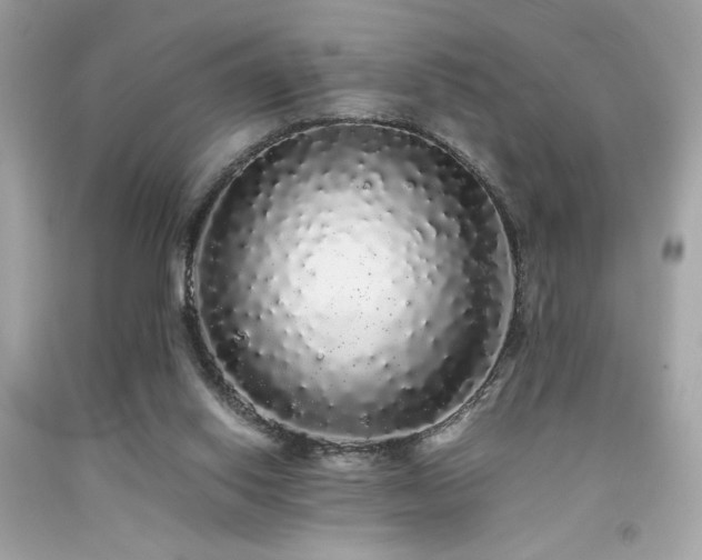 X0000092060062200709121402