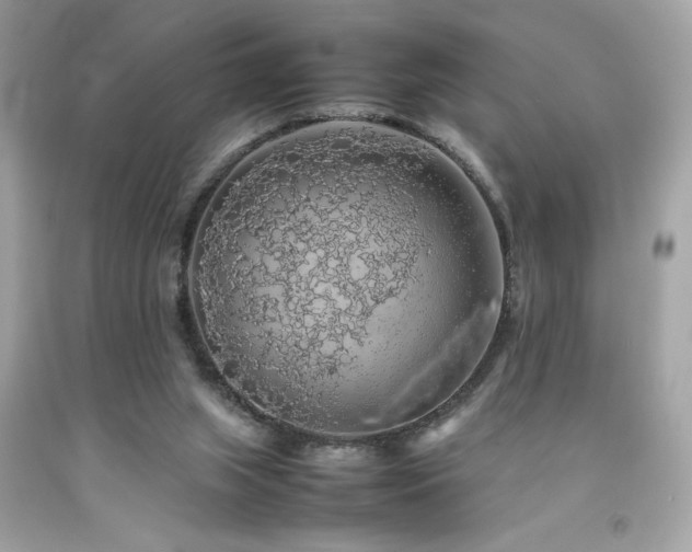 X0000092060063200709121402