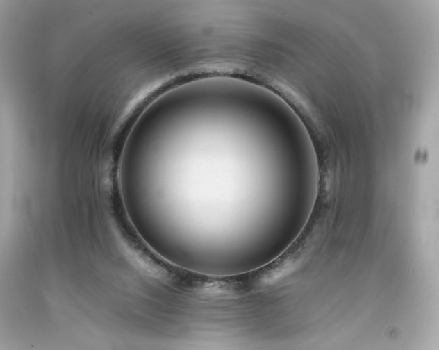 X0000092060064200709121402