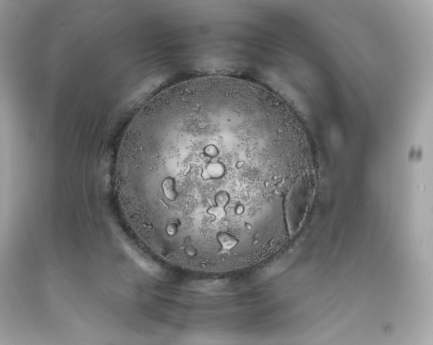 X0000092060065200709121402