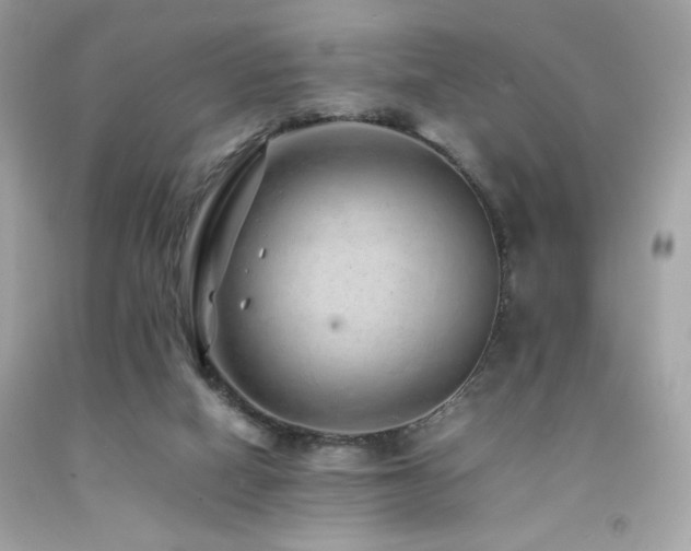 X0000092060066200709121402