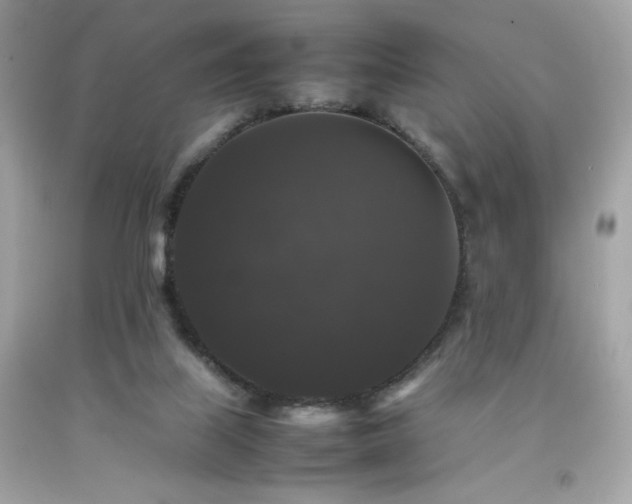 X0000092060067200709121402