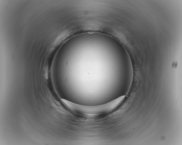 X0000092060068200709121402